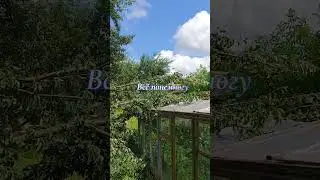 Ураган на даче