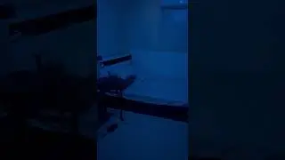 I’m back..?
