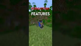 Minecrafts most FORGOTTEN feature