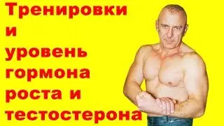 Как тренировки влияют на уровень гормона роста и тестостерона