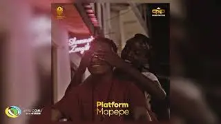 Platform - Mapepe (Official Audio)