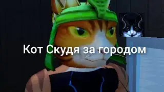 Кот Скудя за городом