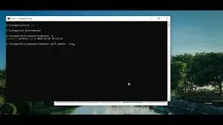 Cara Update Composer di Laragon