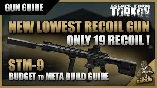 Lowest Recoil STM 9 GUN GUIDE | Budget to Meta Builds | 12.10 | Escape From Tarkov EFT