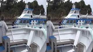 Bretagne Ile de Brëhat 2019 3D
