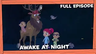 Darwin and Newts | Awake at Night