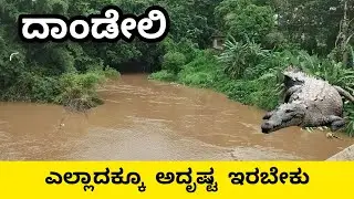 ದಾಂಡೇಲಿ | Explore the breathtaking beauty of Dandeli |