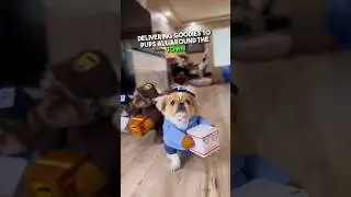 The Cutest Delivery Service 😍📦