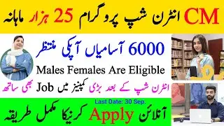 CM Punjab Internship 2024 Online Apply • cmippunjabgovpk • Breaking News Jobs In Pakistan •