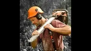 Wood Man Slide show