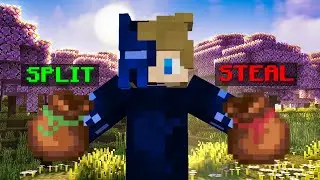 Split or Steal on DonutSMP