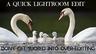 Fast and Easy Adobe Lightroom Editing