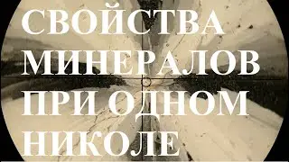 Петрография 03. Свойства минералов при одном николе.