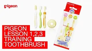 Pigeon Training Toothbrush Set