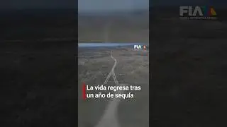 Regresa la esperanza en la laguna de Zumpango tras una fuerte sequía.