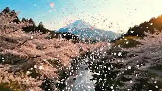 https://wibes.ru/clips/cf8c24841f9311f1b0bcea17f8b42253-4782444?ref=1295347