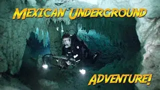 Diving Mexico's Cenotes | JONATHAN BIRD'S BLUE WORLD
