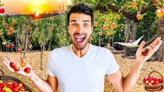 I Built an Orchard