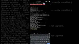 Untitled video