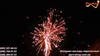 Салют на свадьбу 20 07 13