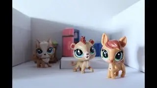 פט שופ- פעם אחת אחרונה -פרק 1
