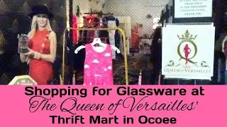 Shopping for Glassware at The Queen of Versailles Thrift Mart in Ocoee, Florida! #queenofversailles