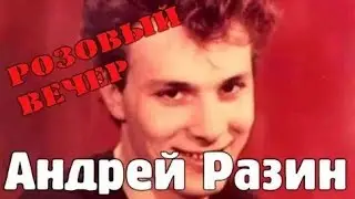 Андрей Разин - Розовый вечер
