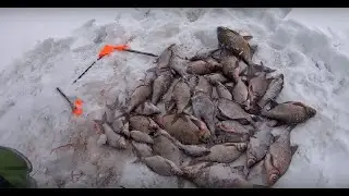 Bream fishing in a reservoir in 2019. Theory and practice of successful results.