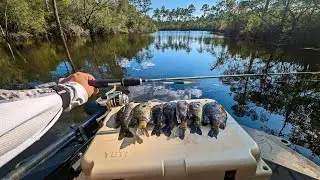 Early Fall Bream Fishing
