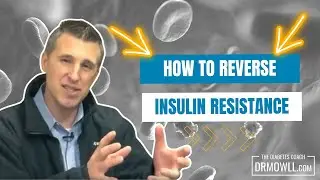 How To Reverse Insulin Resistance with Dr. Brian Mowll