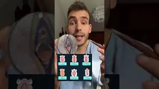 Tipos de vulva 