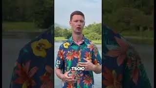 Задай эти вопросы и забудешь о токсиках