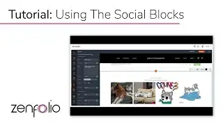 Display Your Instagram Feed with the Social Block on Zenfolio
