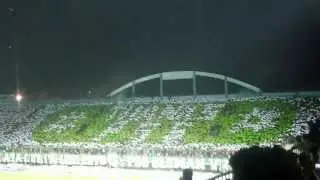 Koreo BCS ( Brigata Curva Sud ) # THANKS PSS #
