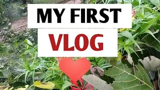 my first vlog || my first vlog on Youtube || my first vlog 2022