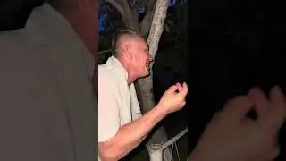 Сольный концерт Давинчи