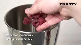 БЛЕНДЕР ПРОФЕСІЙНИЙ FROSTY BL-010E