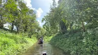 Hầm Hô Rosa Alba