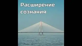 МетаДрево желаний