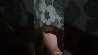 рыка