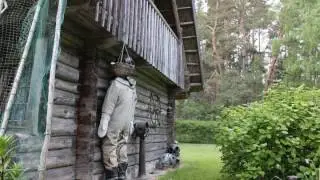 Branguļi - Bērzciems - Latvia