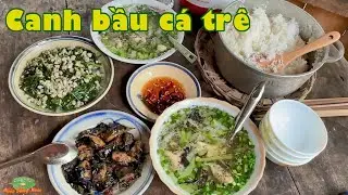 CANH BẦU cùng với CÁ TRÊ, cơm quê mình nấu tui mê suốt đời | Đặc sản miền sông nước