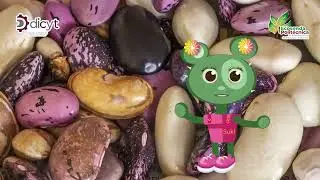 Milpa- Suki presenta