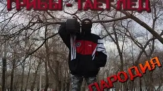 [ИНТРО] SТЕКЛОVАТА - ЗОЖ (ПАРОДИЯ НА  Грибы - Тает Лёд)
