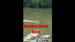 Detik Detik Dikejar Buaya