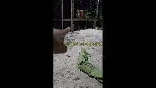 KEGIATAN MALAM MALAM