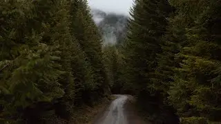 Washington State - Shot on Canon C70