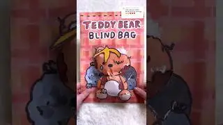 Teddy Bear Blind Bag🧸🤎 