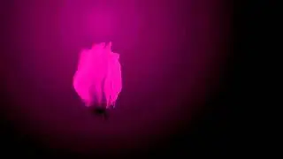 After Effects-Audio React- FREE PROJECT FILE-Skrillex