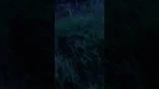 СТРАННАЯ НАХОДКА В ЛЕСУ/ПОЛНЫЙ РОЛИК ВЫЙДЕТ СКОРО... #shortvideo #поход #лес #горы #странныевещи